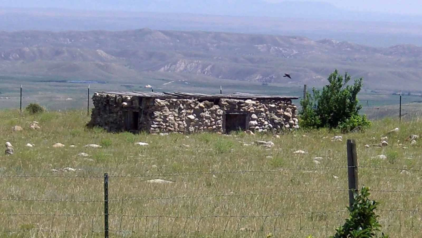 After fleeing the Chicago mafia, "Old Steve" Gorshum spent 20 years tending goats and living in a hand-built stone home in the Bighorns, telling his neighbors he was hiding from his past. Old Steve often shared tales of his mafia days with neighbors.