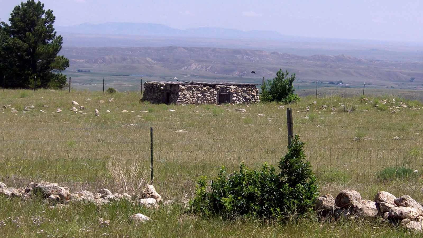 After fleeing the Chicago mafia, "Old Steve" Gorshum spent 20 years tending goats and living in a hand-built stone home in the Bighorns, telling his neighbors he was hiding from his past. Old Steve often shared tales of his mafia days with neighbors.