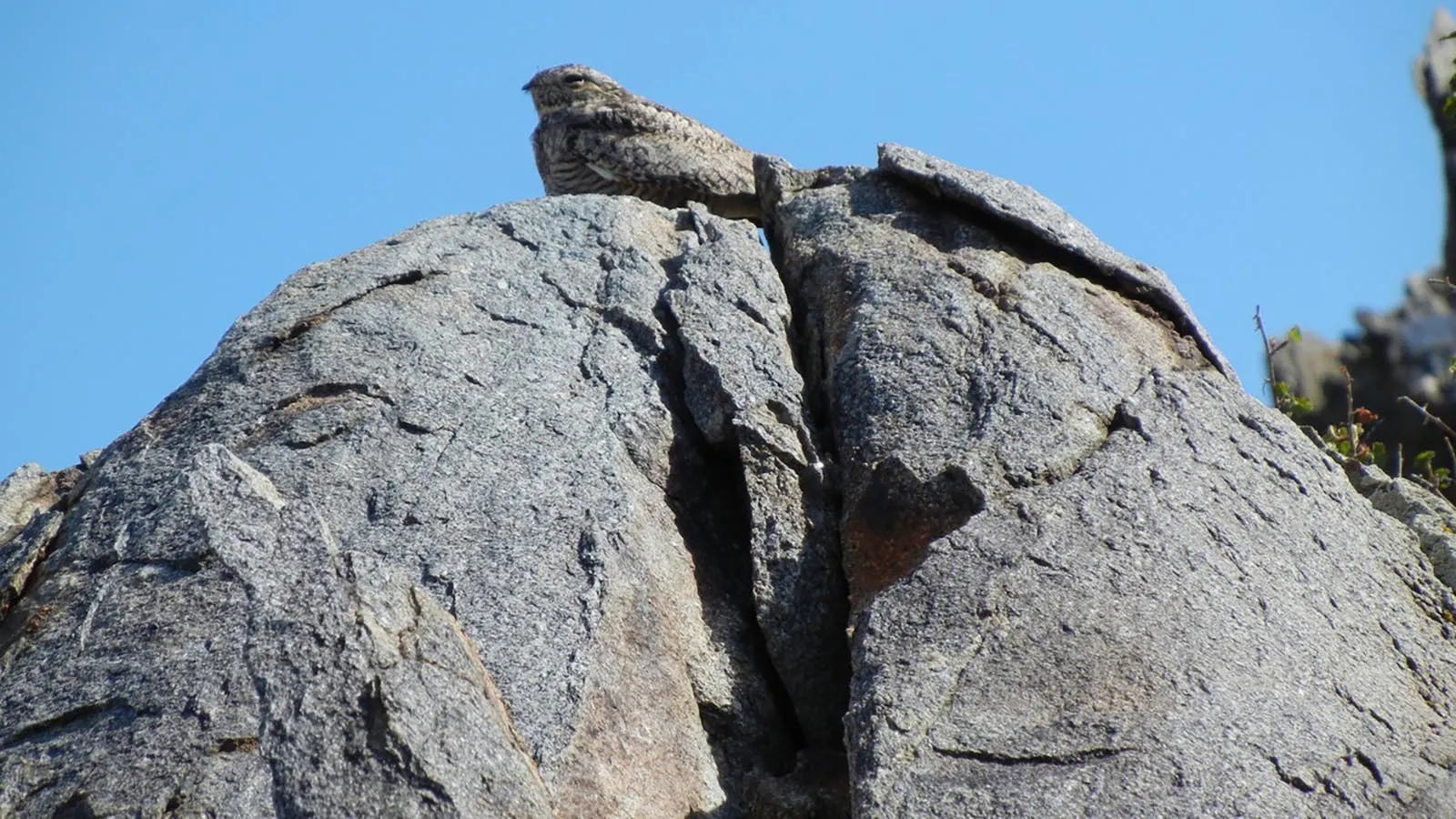 Wyoming Geologist Helps ID Oldest Rock In America At 3.5 Billion Years ...
