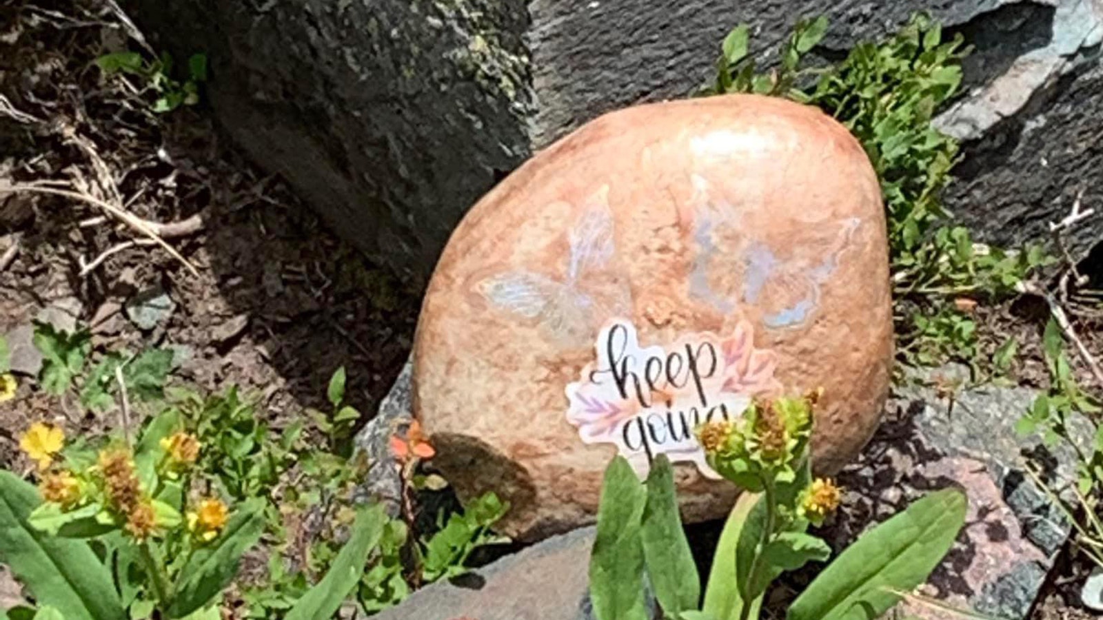 Before starting the "positivi-turtles" movement, Jenn Ellis painted hopeful messages on rocks and left them places for people to find.