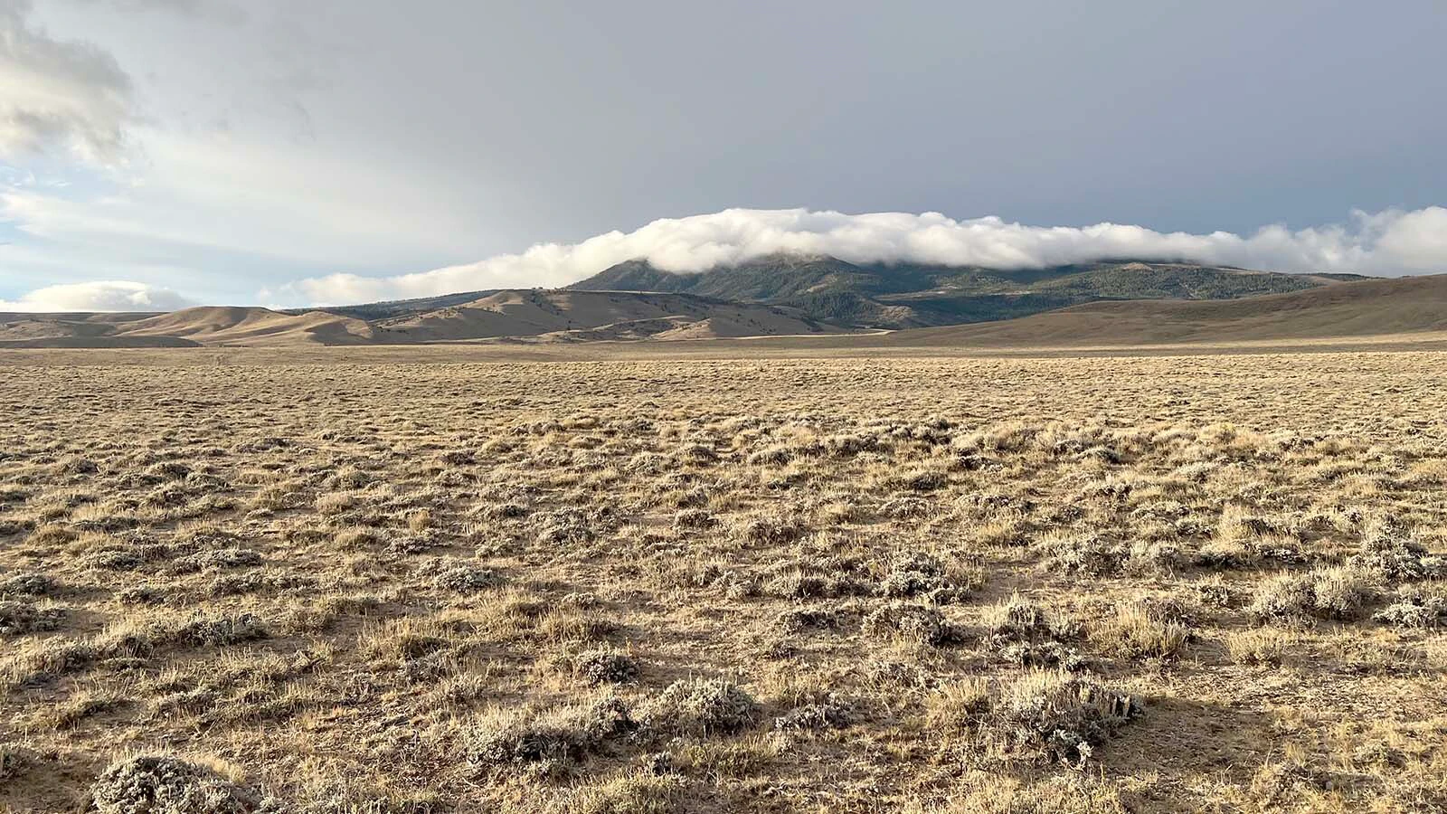 The One Shot Antelope Hunt took place in vast landscapes near Green Mountain on Sept. 19, 2026.