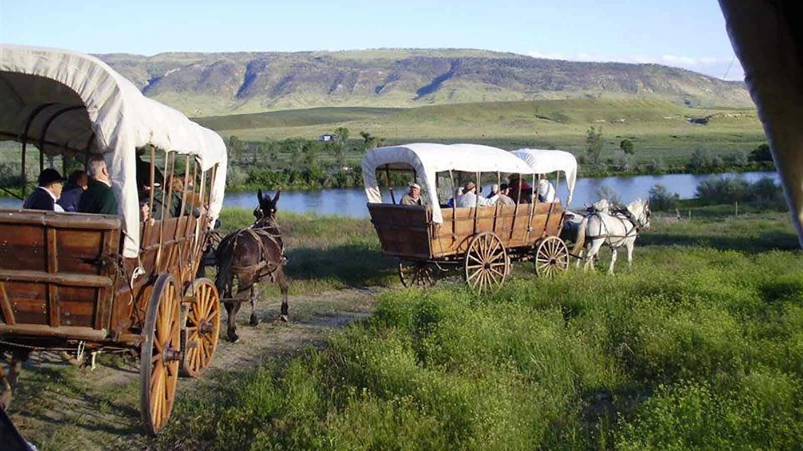 Cadaver dogs are helping Wyoming historians search for Oregon Trail graves that time, weather and development have nearly erased. The dogs can provide clues that are tested against dairies and other evidence to mark pioneer graves.
