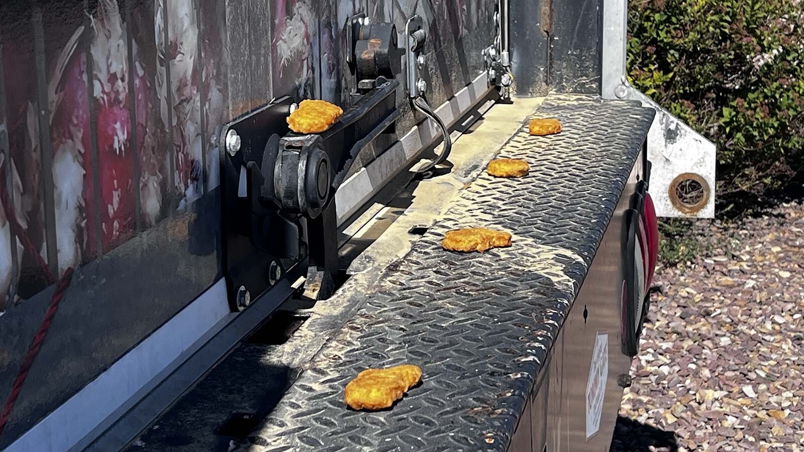 Someone placed Chicken McNuggets on the back bumper of the PETA Hell on Wheels truck parked in front of a Rock Springs, Wyoming, McDonald's.