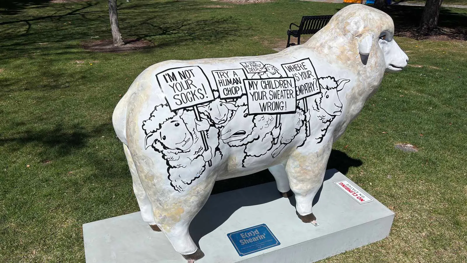 Why PETA Put A Protest Sheep Statue In Jackson's Town SquareKate MeadowsMay 07, 2026