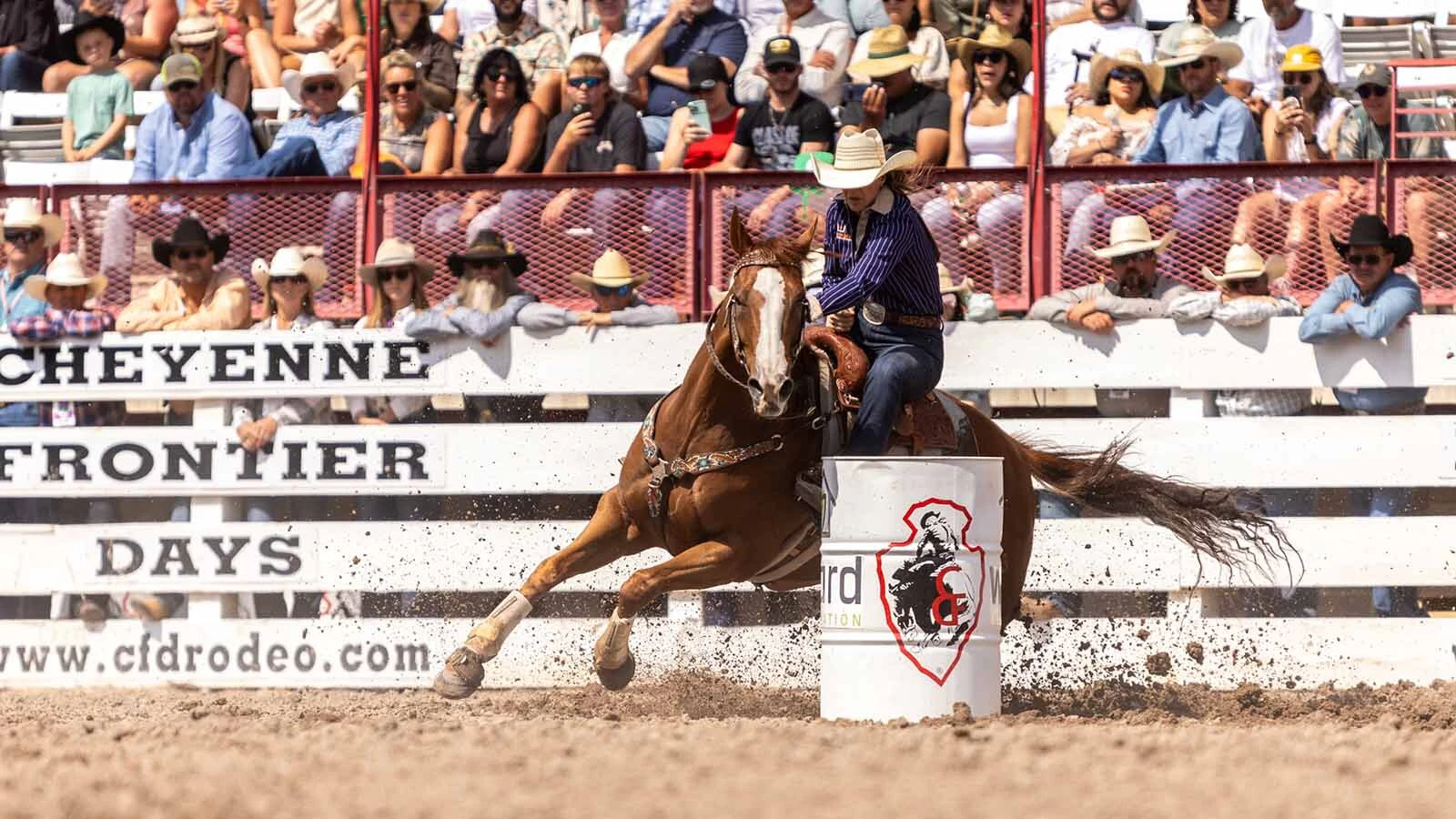 The Daddy of 'em All Cheyenne Fronteir Days Rodeo is one of the largest and most important events of the year for the Professional Rodeo Cowboys Association, which is moving its headquarters and hall of fame to Cheyenne.