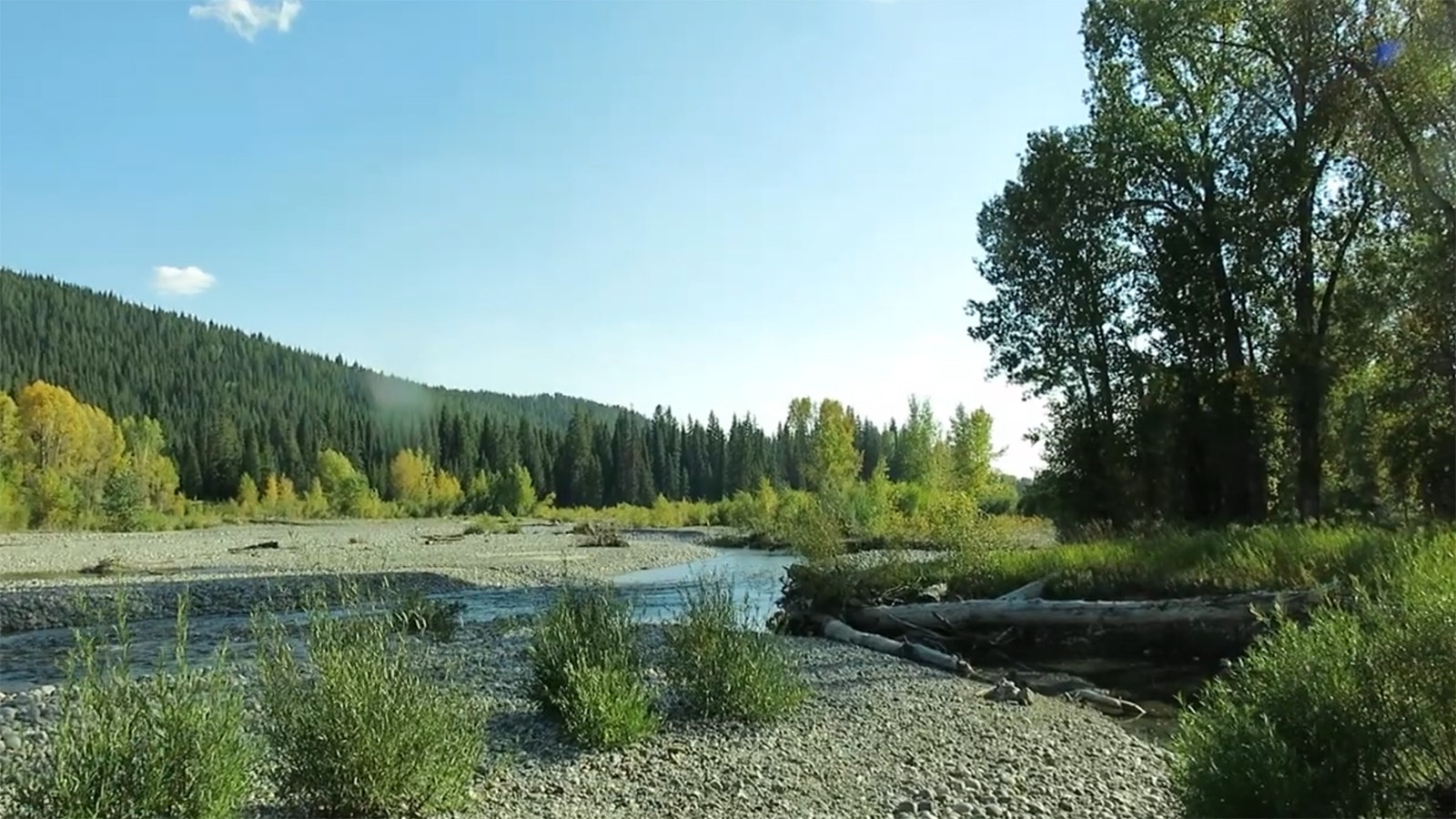 A campsite along Pacific Creek in the Bridger Teton National Forest in this YouTube screeshot.