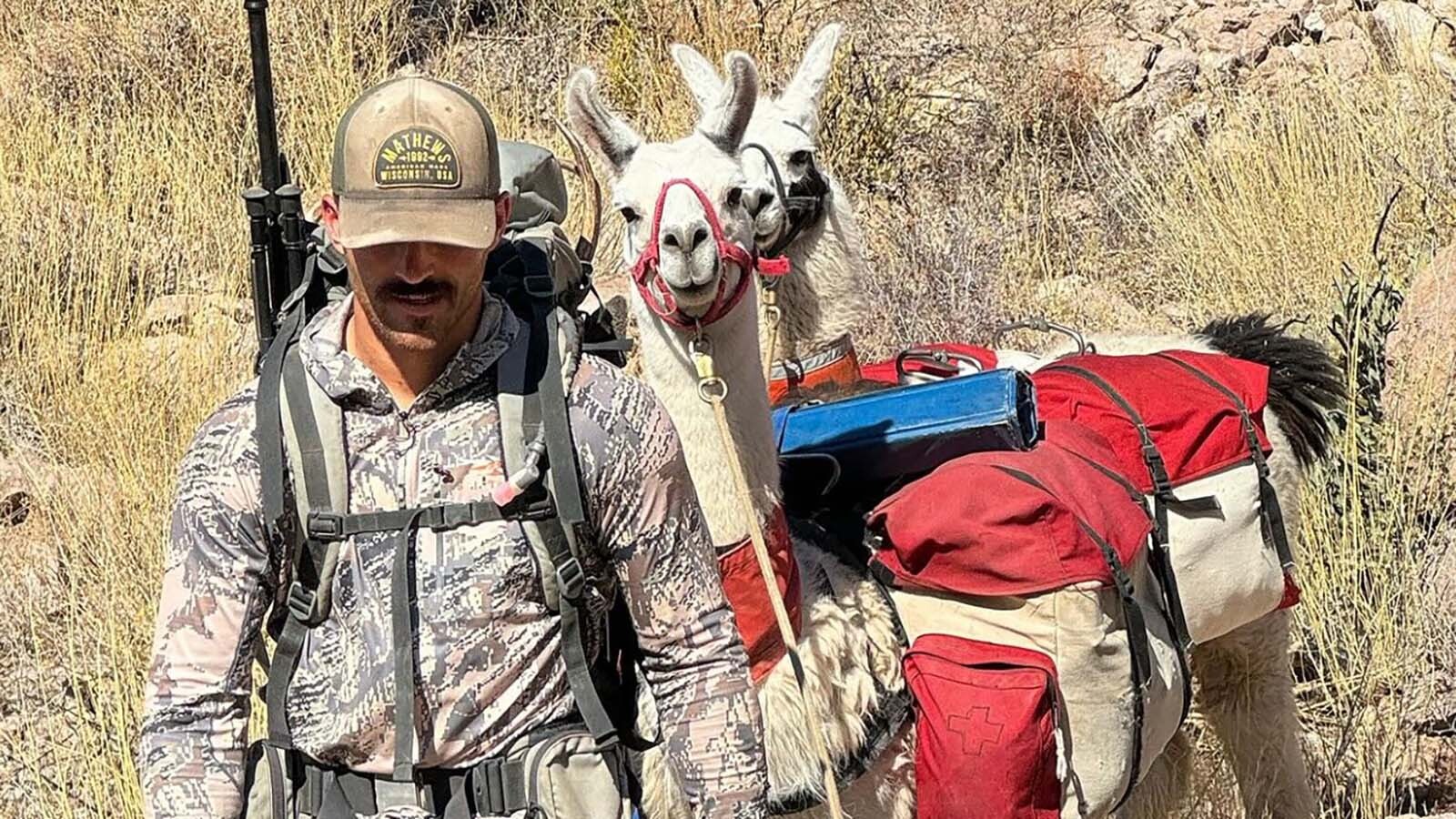 Fans of llamas say they’re the ideal mountain pack animals, because they’re hardy and sure-footed.