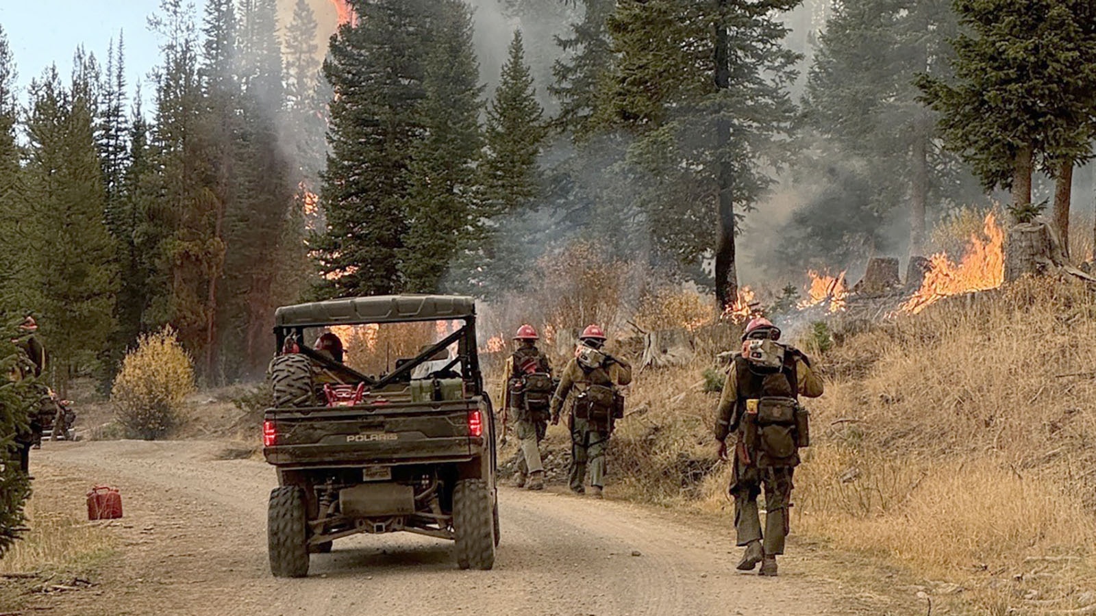 A crew of firefighters working the Pack Trail Fire in northwest Wyoming.