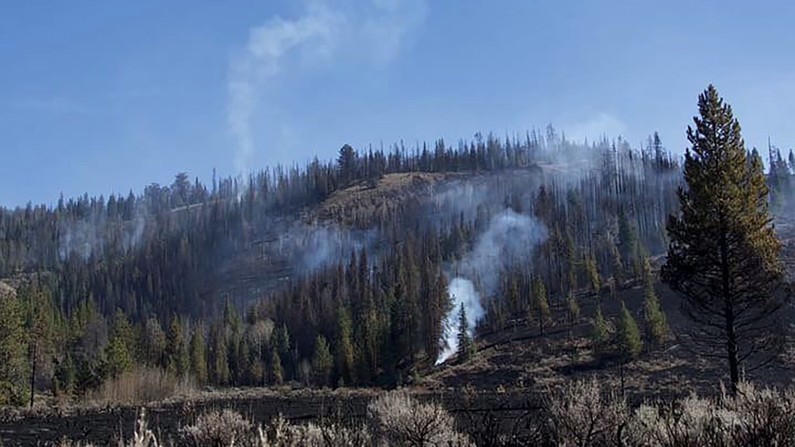 Even with the rain and snow that fell on the Pack Trail Fire on Thursday and Friday, there are still plenty of hot spots burning.