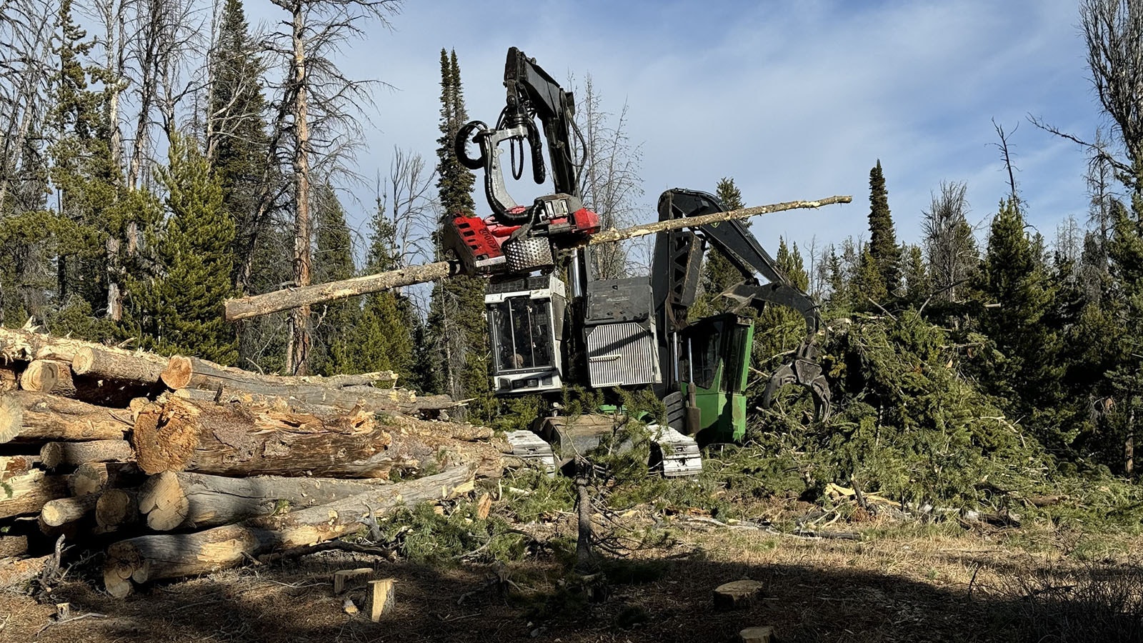 Clearing fire lines and potential fuel loads around the Pack Trail Fire in the Bridger-Teton National Forest.