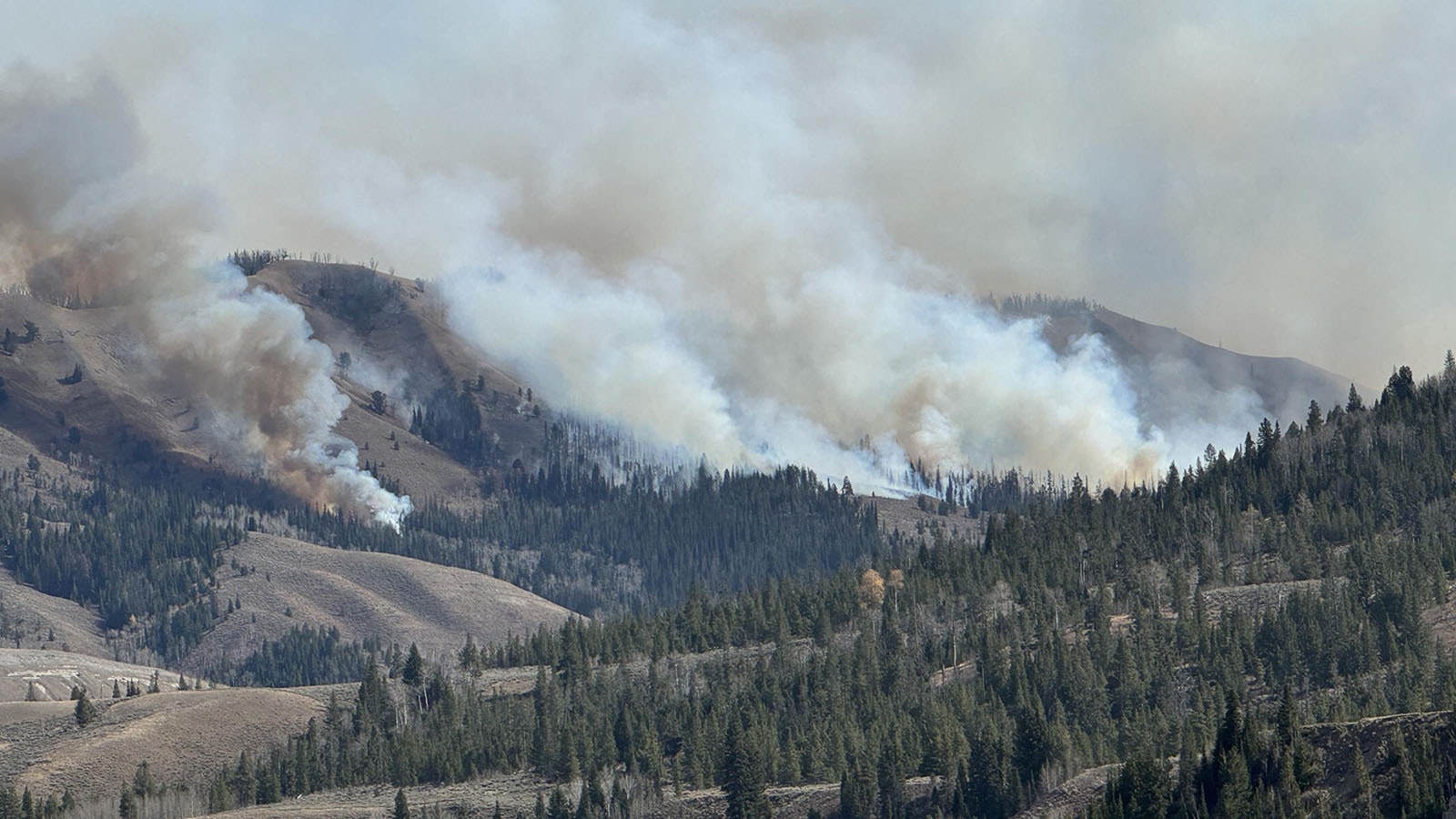 The Pack Trail fire runs downwind to Trail Creek.