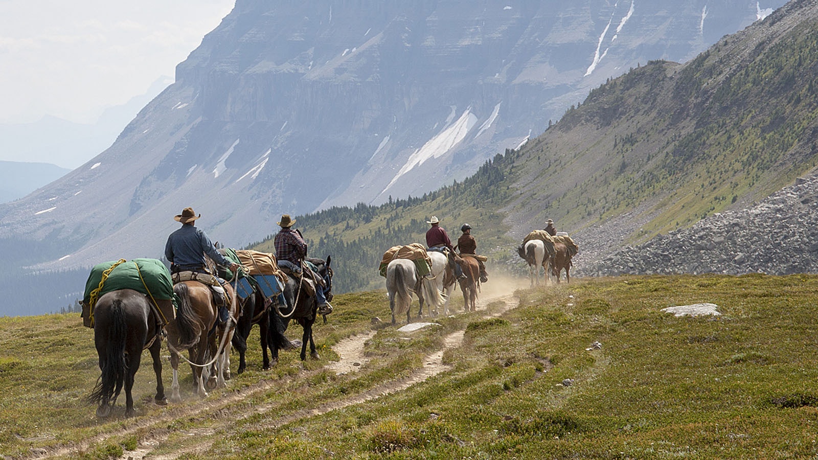 Pack horses getty 10 15 24