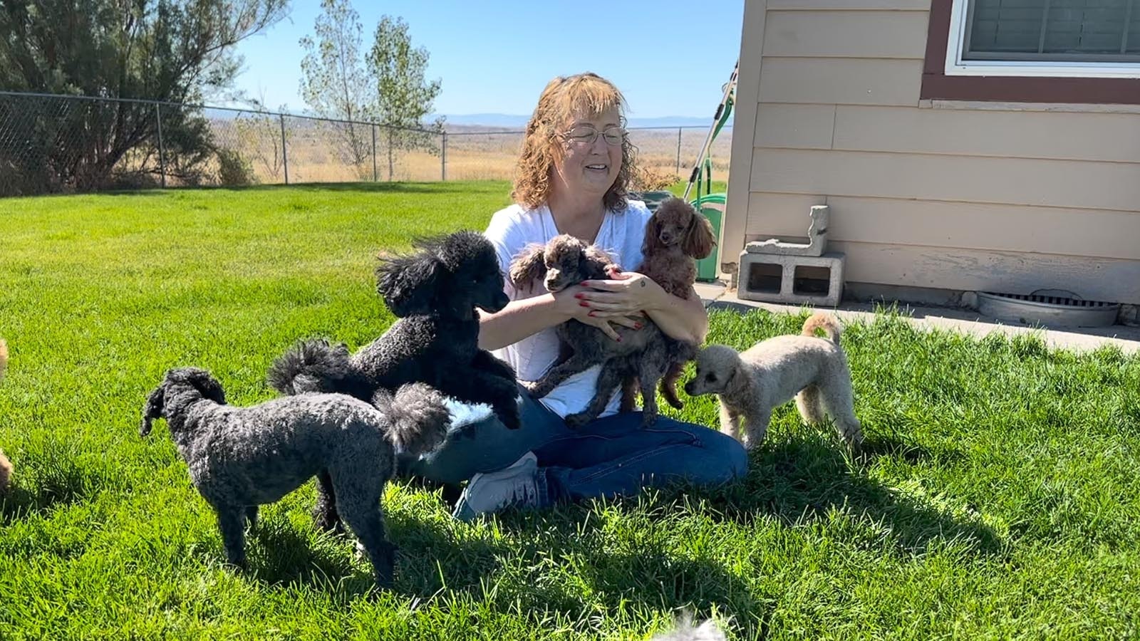 Dog Breeder and new kennel owner Toni Dechert is surrounded by her pack of poodles. Her love of dogs led her to open Muddy Creek K9z Boarding and Grooming in rural Riverton, Wyoming.