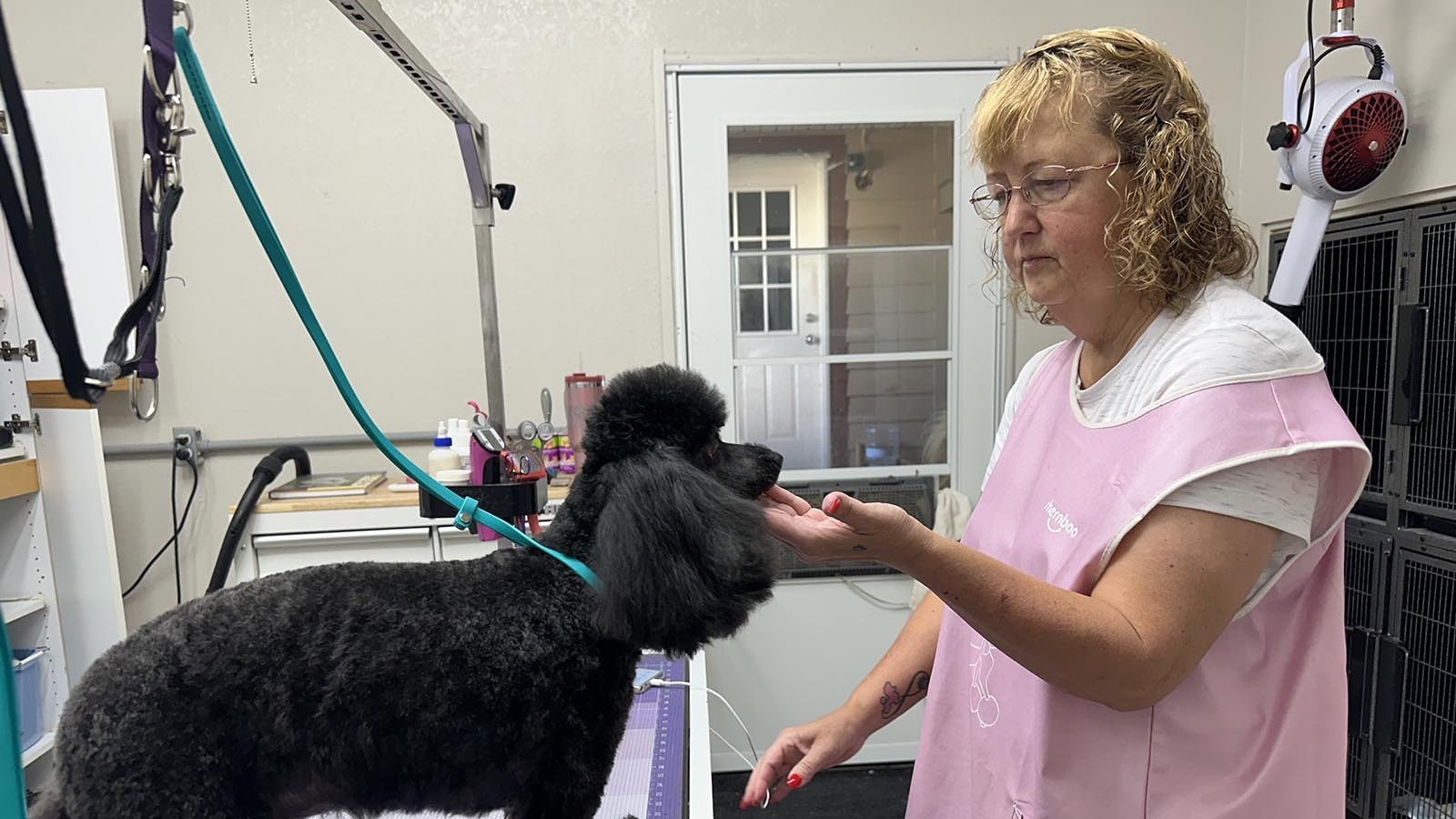 Toni Dechert grooms one of her "grandkids," a toy poodle she bred. She still offers grooming, but only to the dogs that are boarding with her.