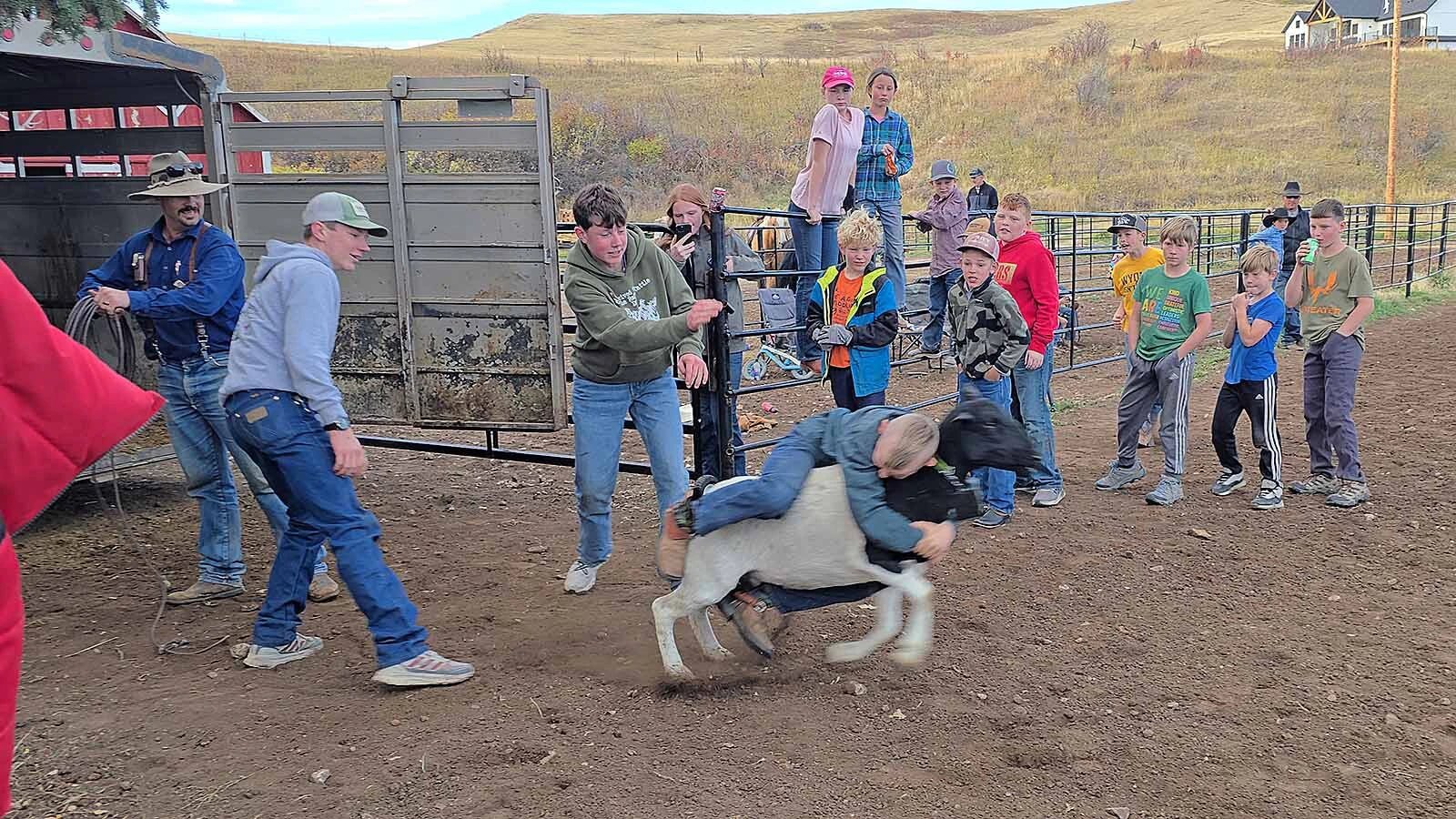A child holds on tight as the sheep takes off during the Double Rafter Ranch's neighborhood block party and kid rodeo.