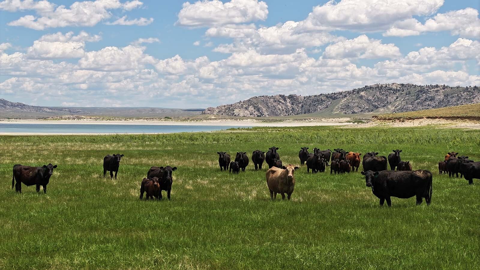 Wyoming’s expansive Pathfinder Ranches comes in at nearly 1 million acres — bigger than Rhode Island. And it’s on the market for $79.5 million.