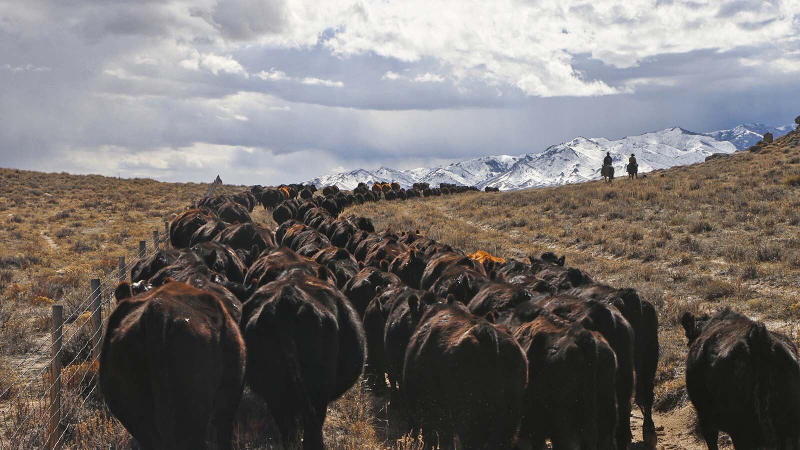 Wyoming’s expansive Pathfinder Ranches comes in at nearly 1 million acres — bigger than Rhode Island. And it’s on the market for $79.5 million.