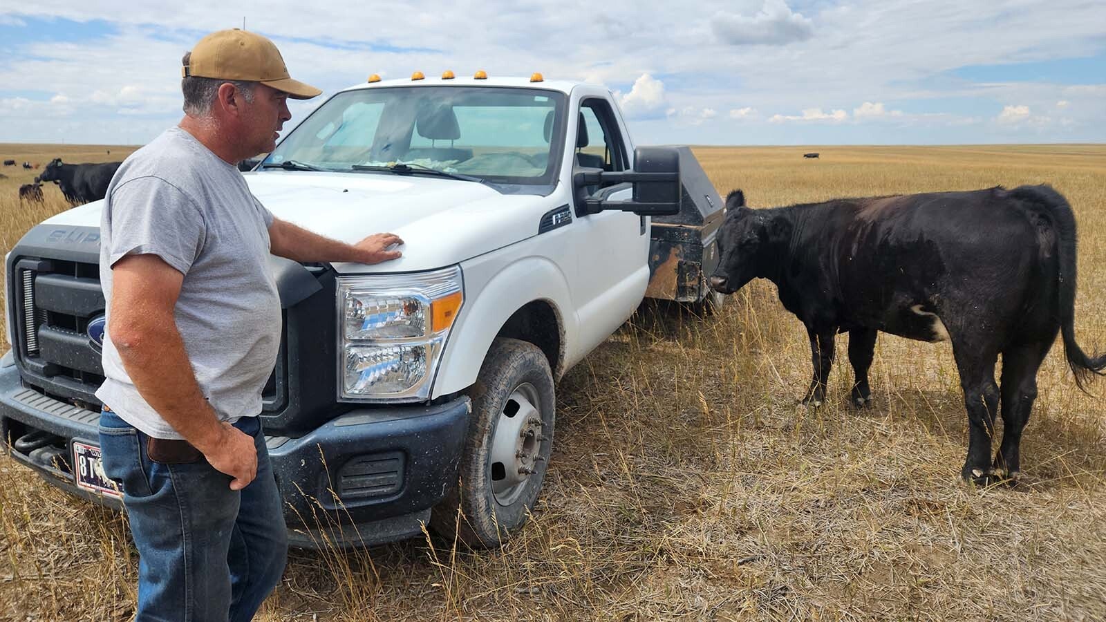 Paul Norfleet is one of dozens of Wyoming landowners partnering with NextEra Energy on a new wind and solar project near Chugwater. He says the turbines and panels don’t destroy the landscape any more than cell towers, oil rigs and transmission lines.