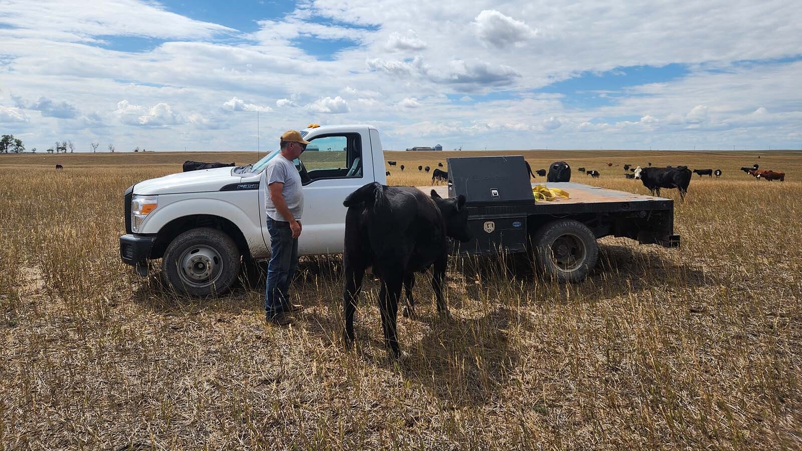 Paul Norfleet is one of dozens of Wyoming landowners partnering with NextEra Energy on a new wind and solar project near Chugwater. He says the turbines and panels don’t destroy the landscape any more than cell towers, oil rigs and transmission lines.