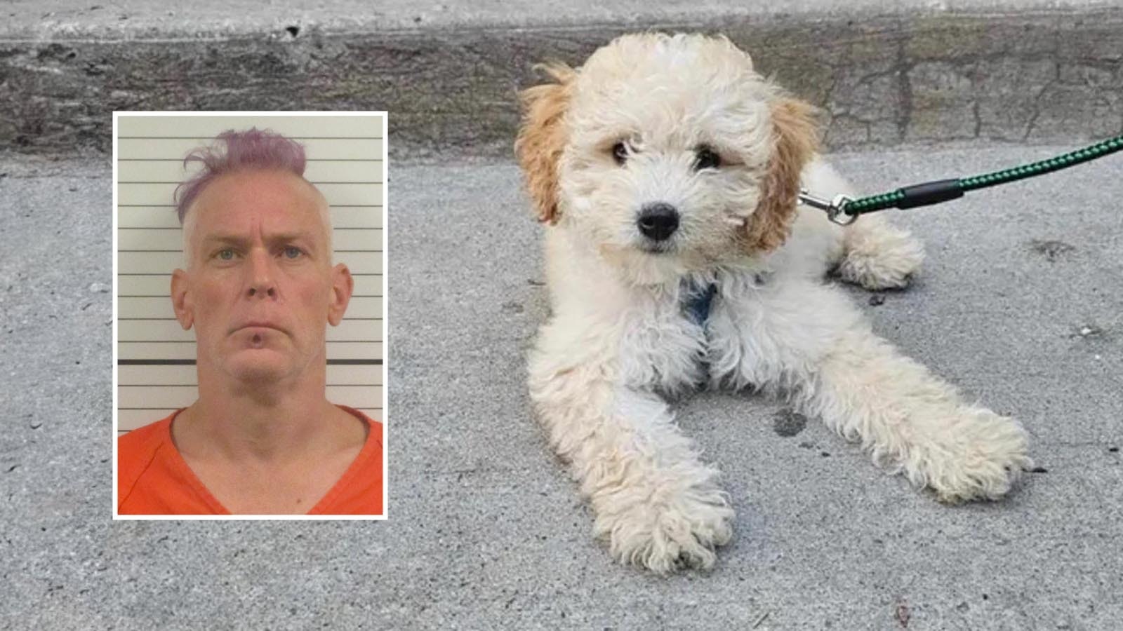 Paul Sheehan and Teddy, the miniature poodle he's accused of stealing in Canada and taking to Riverton, Wyoming.