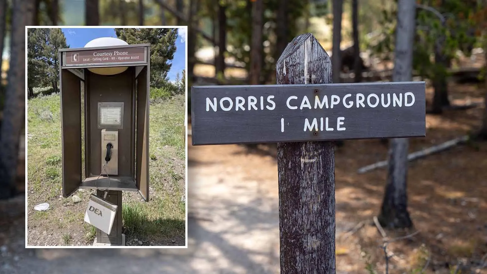 The last working pay phone at the Norris Campground in Yellowstone seems to be dead. It "still had a dial tone” when a photographer checked last year, but she "checked this year — no dial tone.”