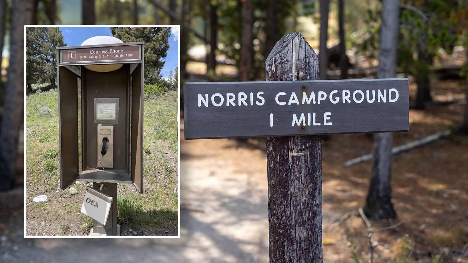 The last working pay phone at the Norris Campground in Yellowstone seems to be dead. It "still had a dial tone” when a photographer checked last year, but she "checked this year — no dial tone.”