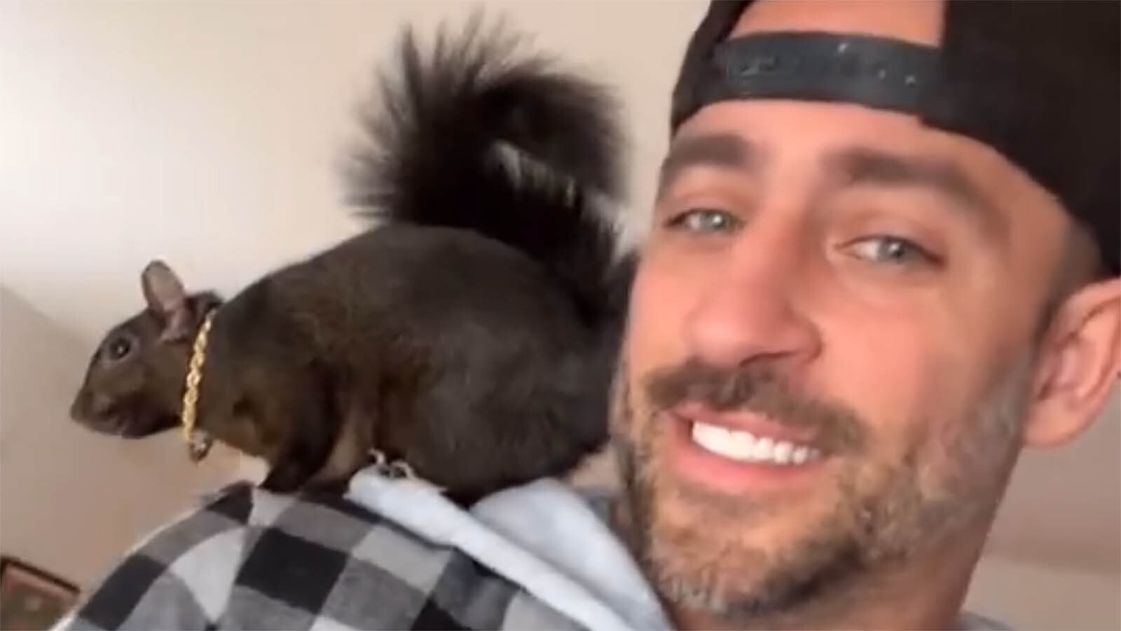 Mark Longo of New York and his pet squirrel Peanut have been a social media sensation for years. Peanut had his own Instagram account with 714,000 followers.