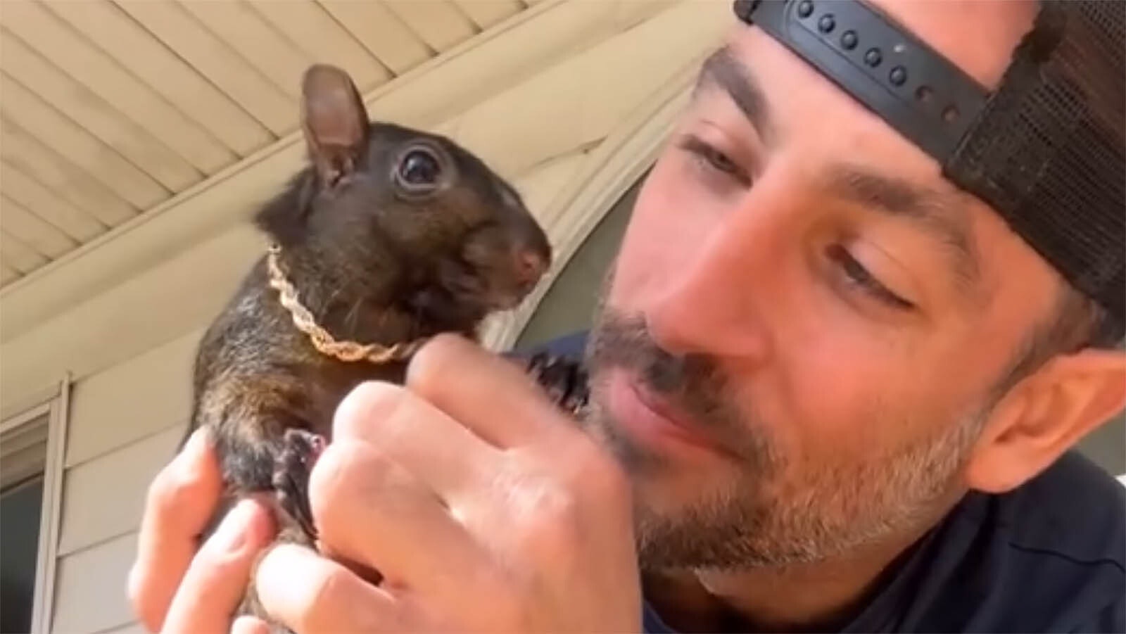 Mark Longo of New York and his pet squirrel Peanut have been a social media sensation for years. Peanut had his own Instagram account with 714,000 followers.