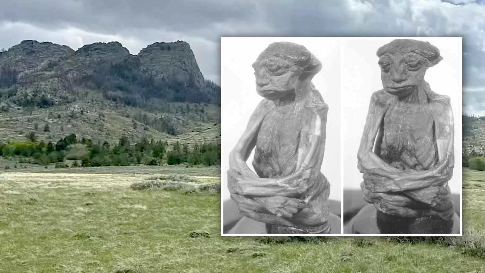 In hopes of debunking evolution, a New York creationist in 2005 offered a $10,000 reward for the return of the Pedro Mountain Mummy found in Wyoming in 1932 and not seen since 1950. The man died in November, and nobody will ever claim that reward.