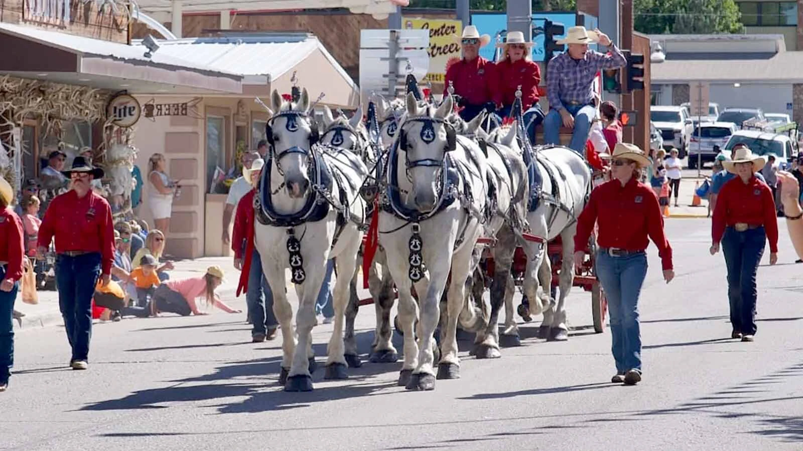 Anyone who’s been to a parade in Wyoming in the past 25 years knows the Powder River Percherons, teams of dapple-gray draft horses that tower over crowds. They bring "a ‘wow’ factor” at up to 2,600 pounds each and 6 feet tall at the withers.