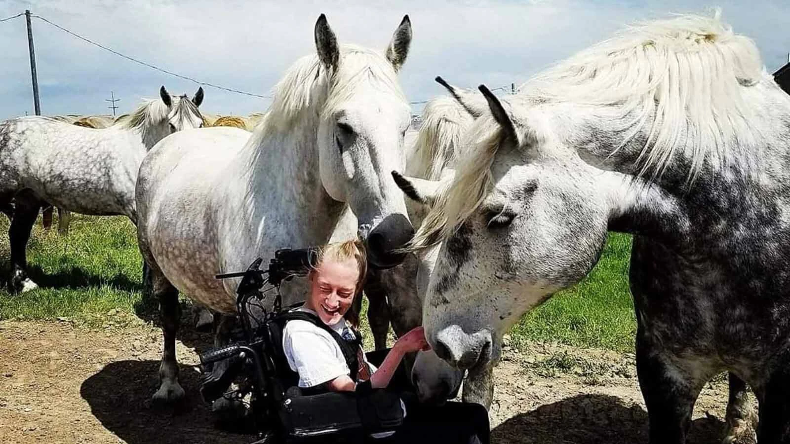 Anyone who’s been to a parade in Wyoming in the past 25 years knows the Powder River Percherons, teams of dapple-gray draft horses that tower over crowds. They bring "a ‘wow’ factor” at up to 2,600 pounds each and 6 feet tall at the withers.
