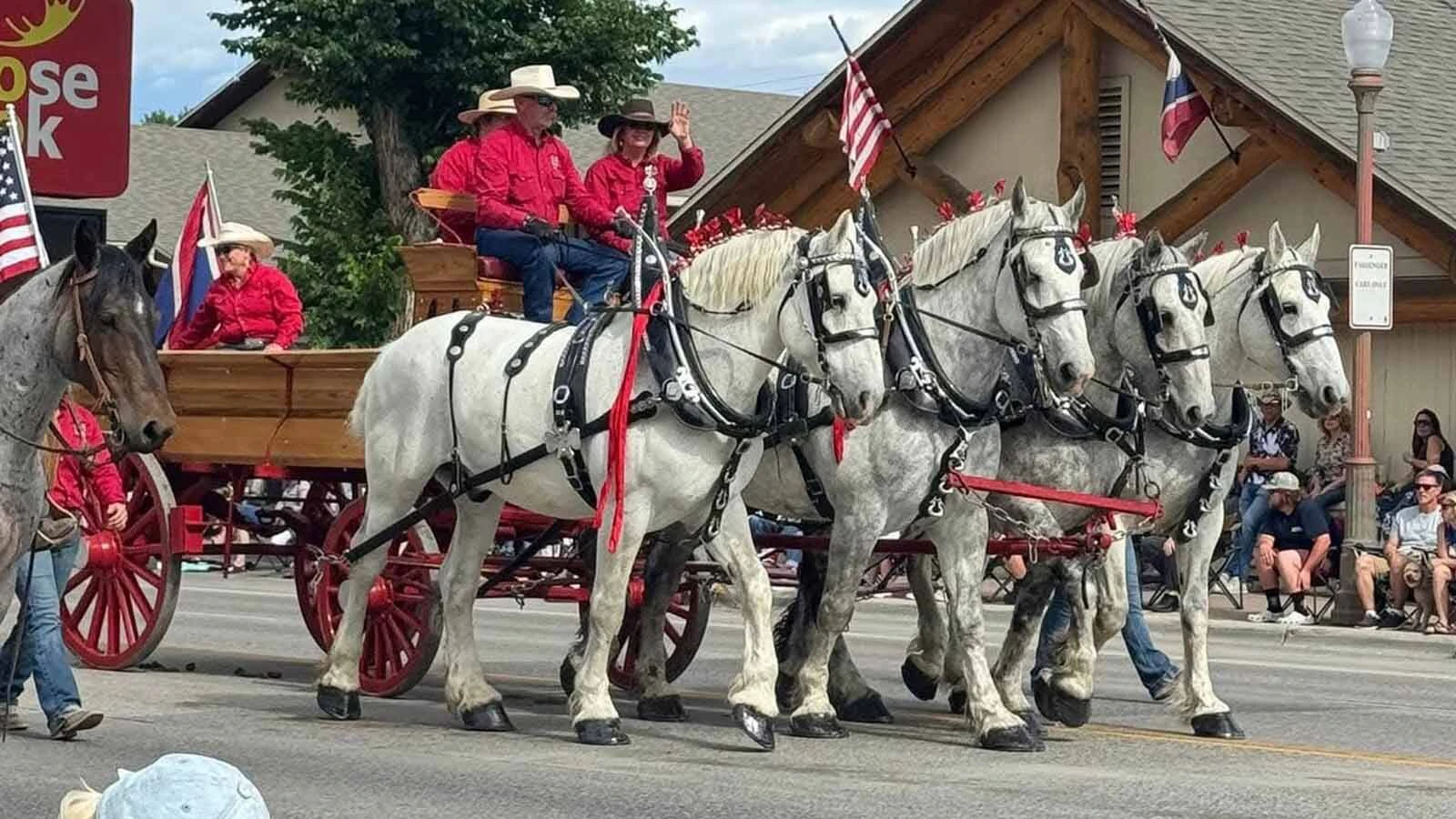 Anyone who’s been to a parade in Wyoming in the past 25 years knows the Powder River Percherons, teams of dapple-gray draft horses that tower over crowds. They bring "a ‘wow’ factor” at up to 2,600 pounds each and 6 feet tall at the withers.