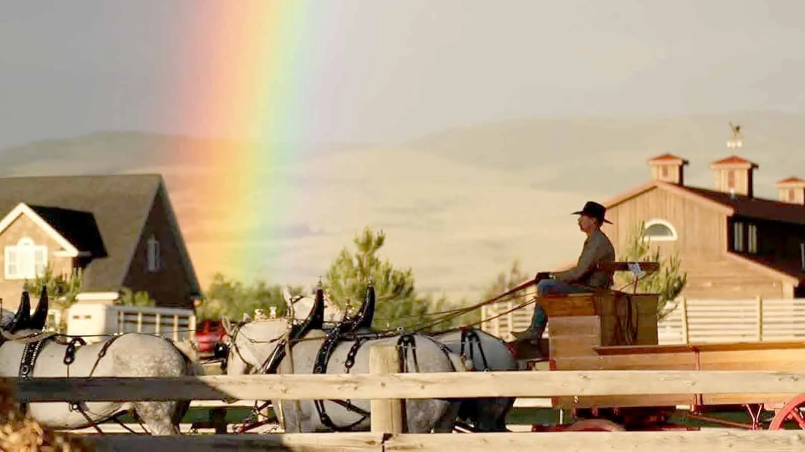 Anyone who’s been to a parade in Wyoming in the past 25 years knows the Powder River Percherons, teams of dapple-gray draft horses that tower over crowds. They bring "a ‘wow’ factor” at up to 2,600 pounds each and 6 feet tall at the withers.