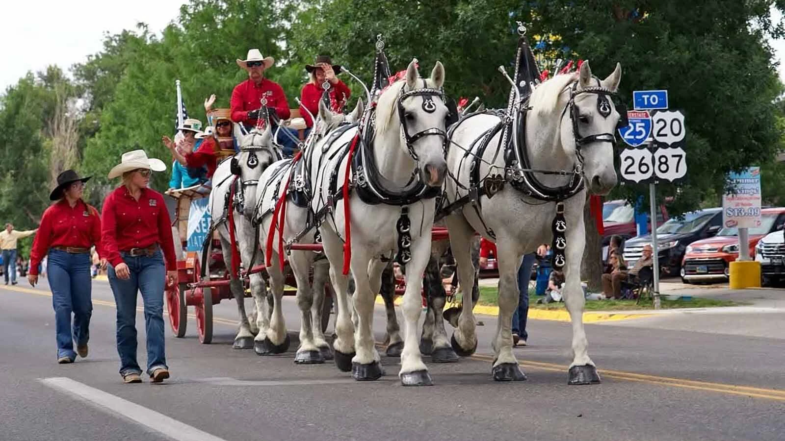 Anyone who’s been to a parade in Wyoming in the past 25 years knows the Powder River Percherons, teams of dapple-gray draft horses that tower over crowds. They bring "a ‘wow’ factor” at up to 2,600 pounds each and 6 feet tall at the withers.