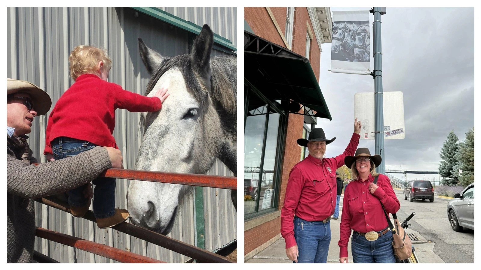 Anyone who’s been to a parade in Wyoming in the past 25 years knows the Powder River Percherons, teams of dapple-gray draft horses that tower over crowds. They bring "a ‘wow’ factor” at up to 2,600 pounds each and 6 feet tall at the withers.