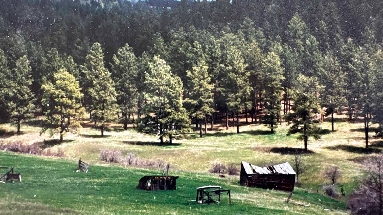 The Gose Family ranch in eastern Wyoming. While the ranch is no longer within the family, Carolyn Gose Foster said the petrified wood and other items stolen from the family's storage in Powell were important "touchstones" of the family's history with the land they homesteaded.
