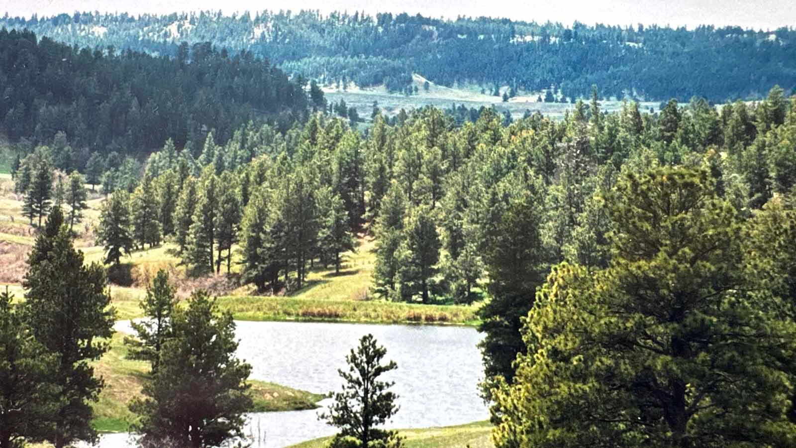 The Gose Family ranch in eastern Wyoming. While the ranch is no longer within the family, Carolyn Gose Foster said the petrified wood and other items stolen from the family's storage in Powell were important "touchstones" of the family's history with the land they homesteaded.