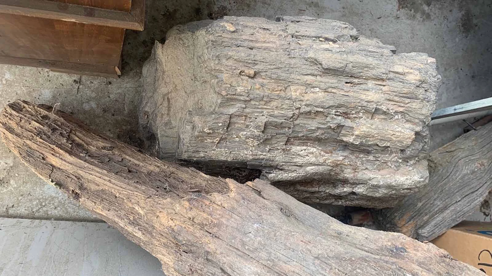 A large piece of petrified wood stolen from a storage unit in Powell. Carolyn Gose Foster, who inherited the fossil from her late father, isn't sure when or why it was stolen, but hopes it can be recovered and returned to her family.