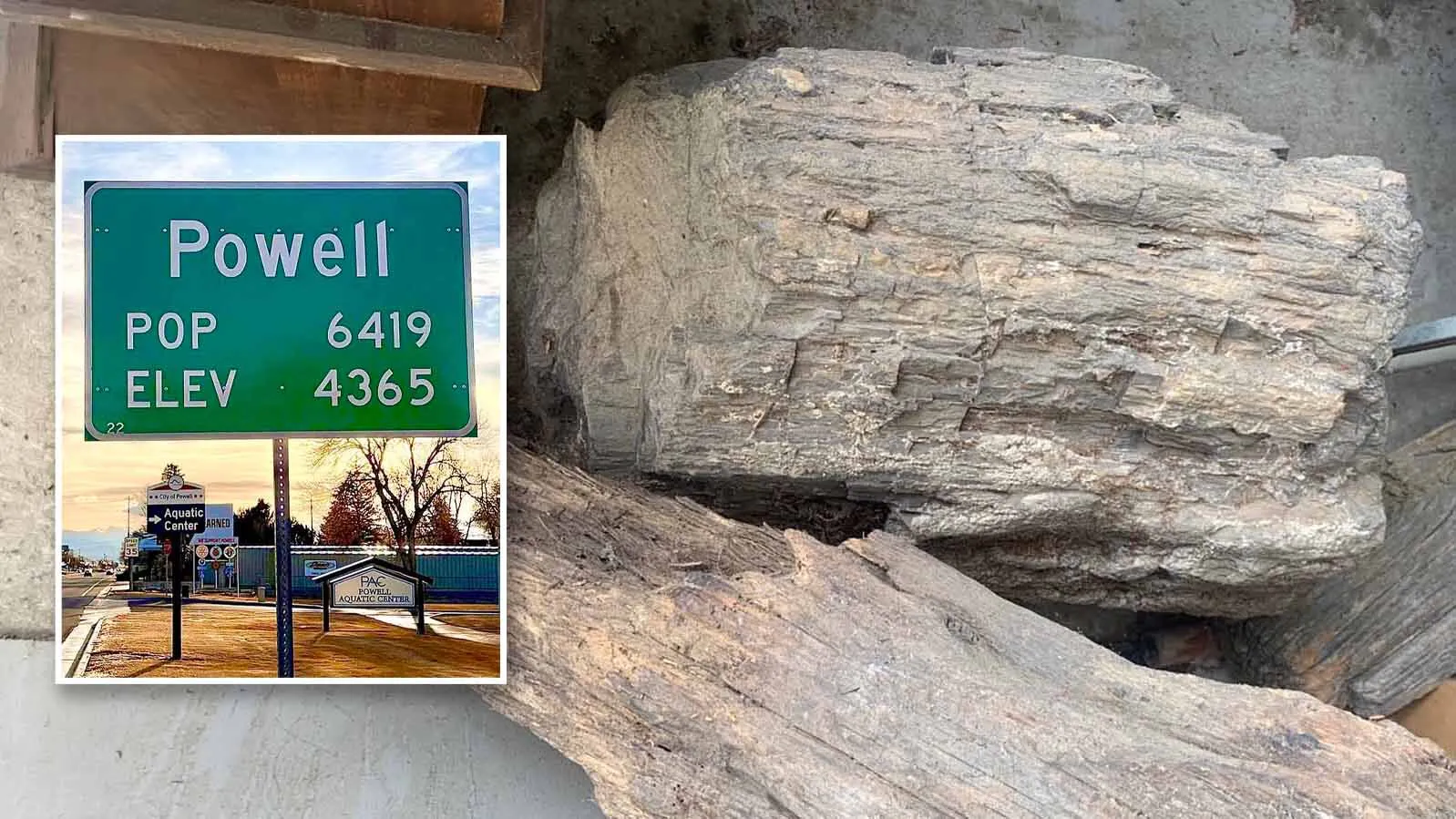 Someone has stolen a massive, 60-million-year-old piece of petrified wood from a storage unit in Powell. “My dad was always afraid someone would steal it,” said the daughter of the WWII pilot who treasured the artifact, which had become a family heirloom.
