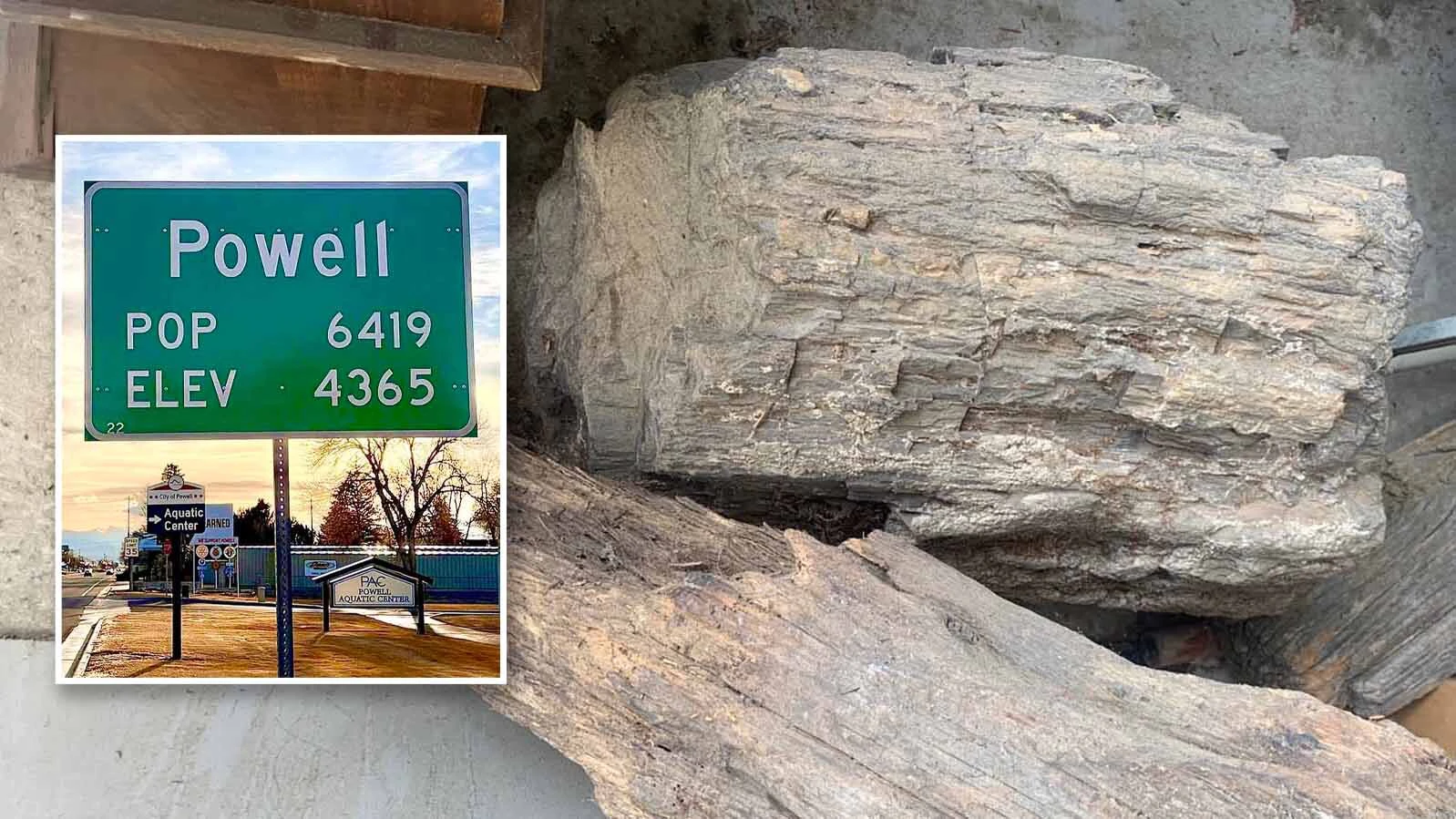 Someone has stolen a massive, 60-million-year-old piece of petrified wood from a storage unit in Powell. “My dad was always afraid someone would steal it,” said the daughter of the WWII pilot who treasured the artifact, which had become a family heirloom.