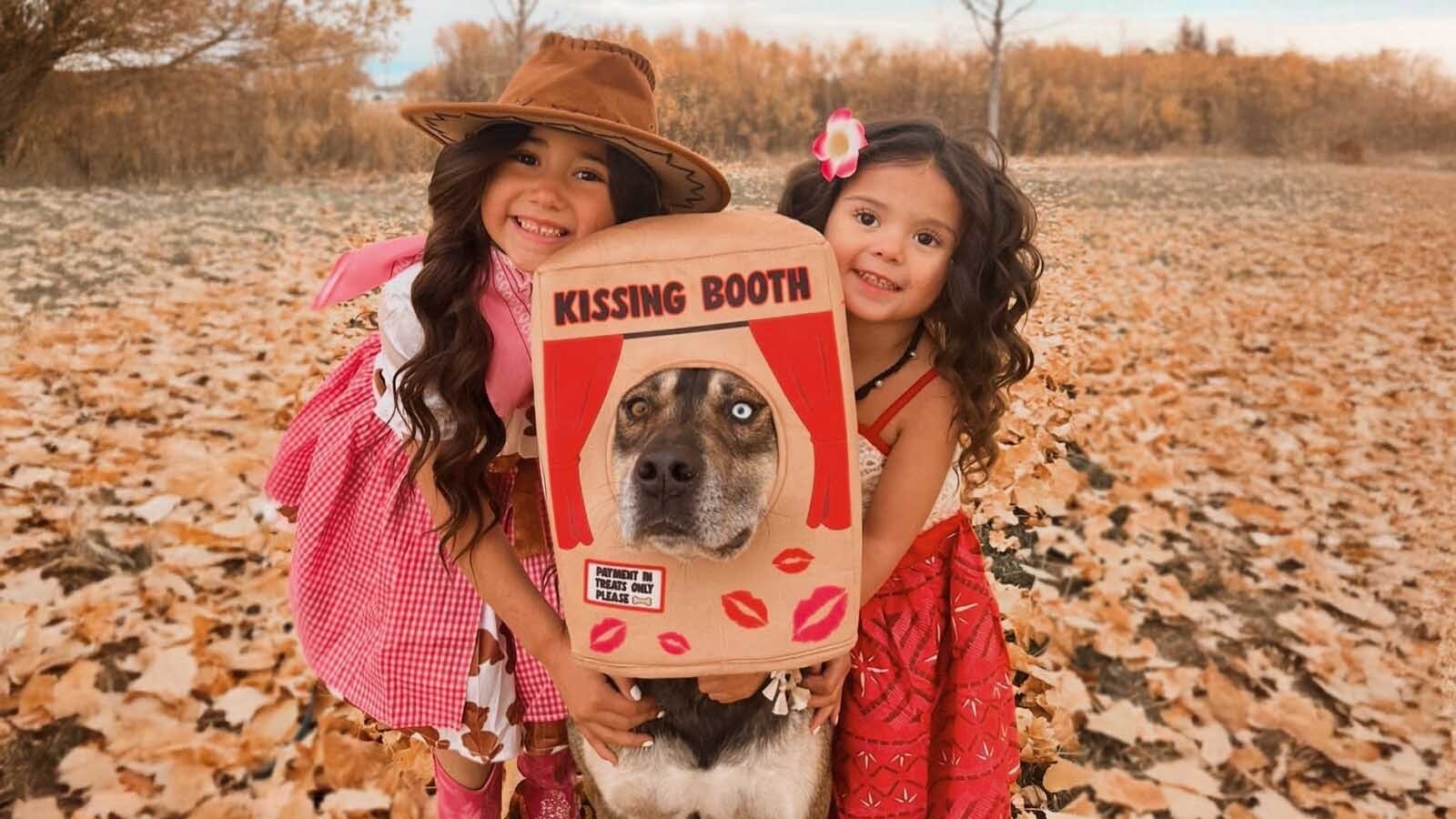 Clyde the Wonder Dog's superpower comes from his true heart and a willingness to throw himself into whatever life in Happy Valley has to offer.