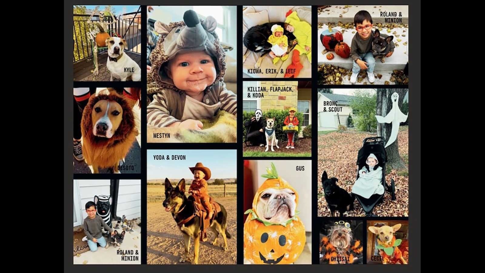 October's Happy Valley celebrities include Yoda, who gives small tots dog-back rides.