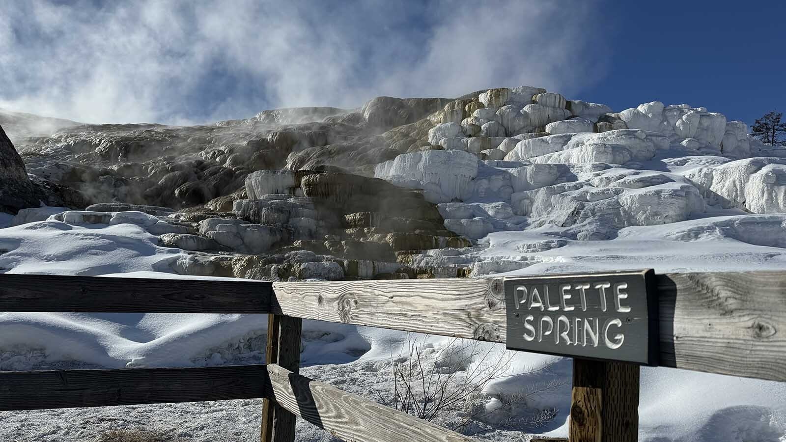 Palette Springs in Yellowstone National Park, where actor Pierce Brosnan stepped off the boardwalk in November 2023 to take a selfie. He was remorseful in pleading guilty March 14, 2024, and was fined $1,500.