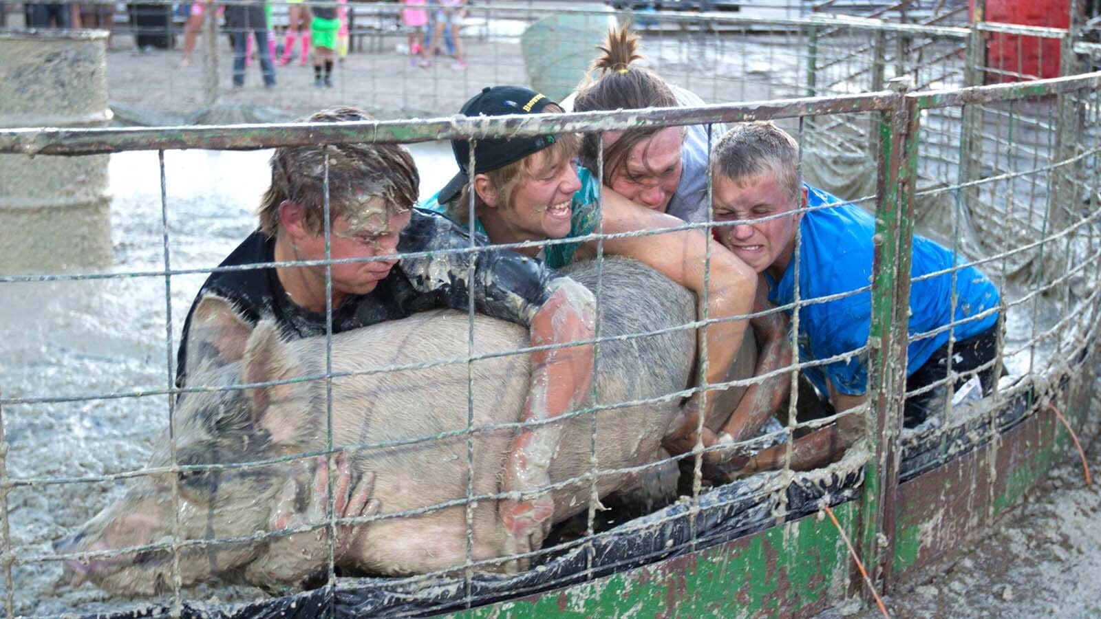 After a five-year hiatus, pig wrestling is set for a return at the Teton County Fair in 2026, but now county commissioners are reconsidering the event after activists have raised concerns that the tradition could be curel to the animal.