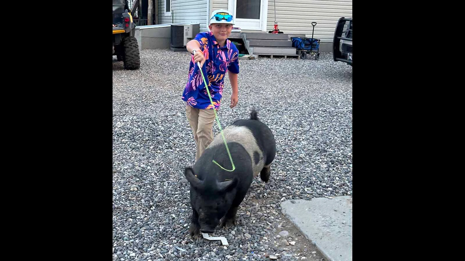 Sawyer Wilson trained his pig, Marshmallow, to walk properly at slight touches of his pig whip. The hog was an "extra pig" that will be given to a local charity in Thermopolis, Sawyer's home town, through the Fair to Fork program founded by First Lady Jennie Gordon. Sawyer was given $750 and a plaque and will be able to choose the charity of his choice to donate his pig to.