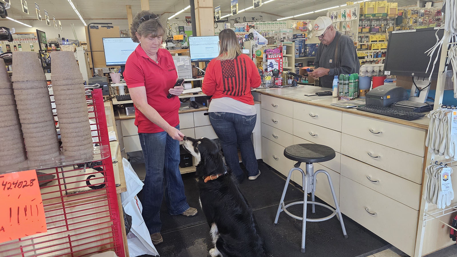 Trish Grove feeds Coop a treat after he successfully carries a package to the register for a customer.