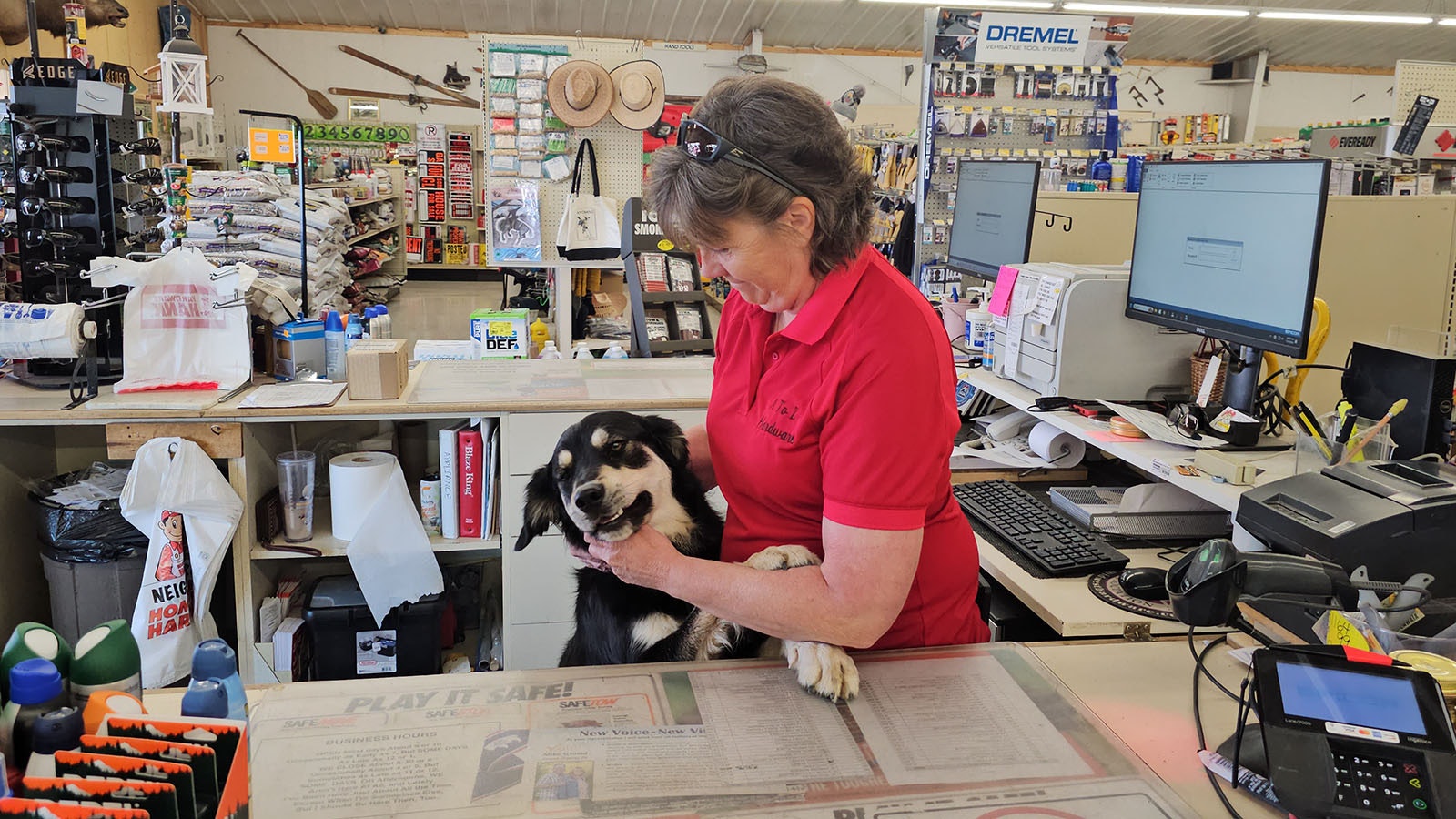 Trish Grove gives Coop a few well-deserved ear scratches.