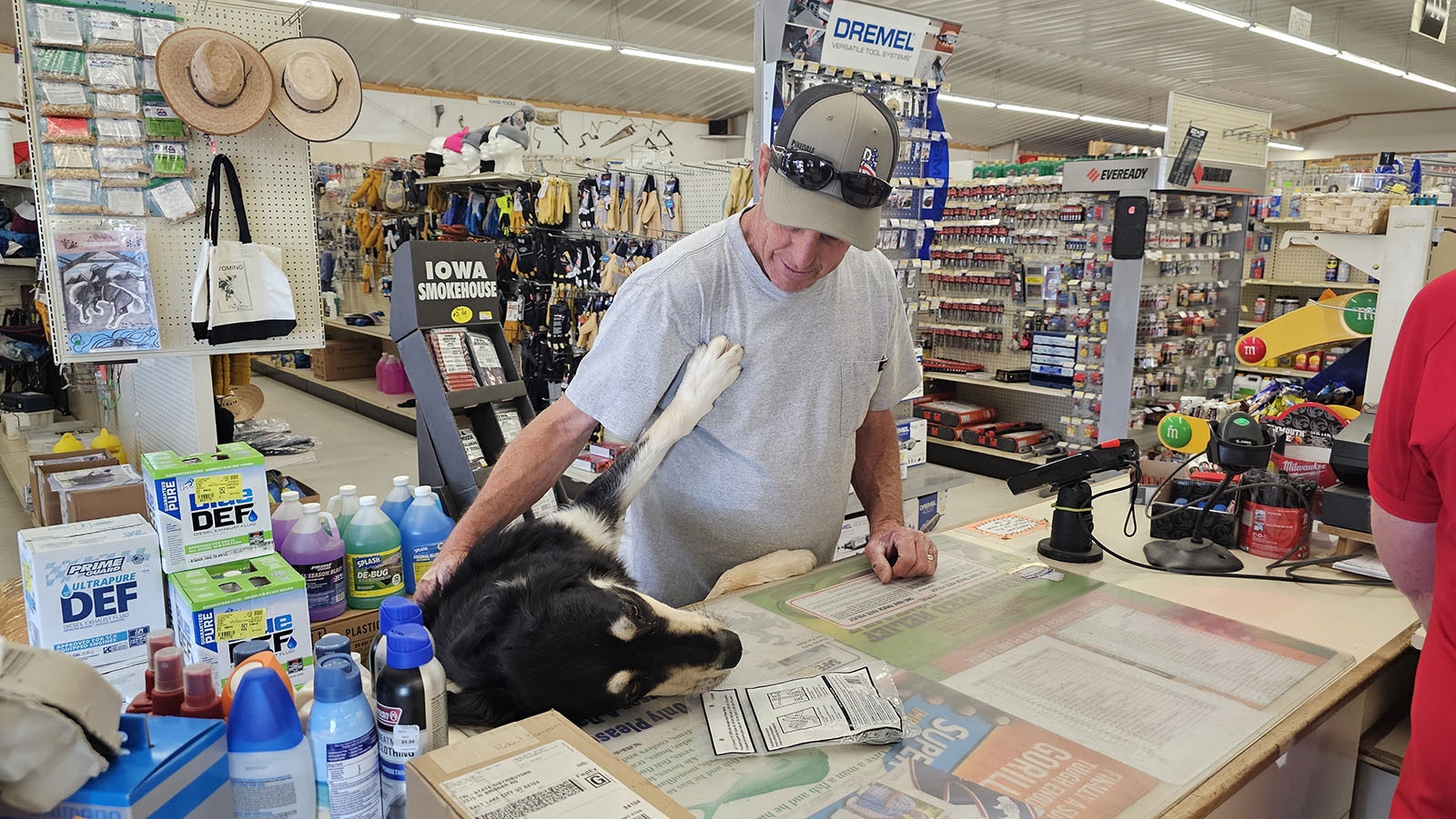 A customer pets Coop after the dog successfully delivers his package to the register.