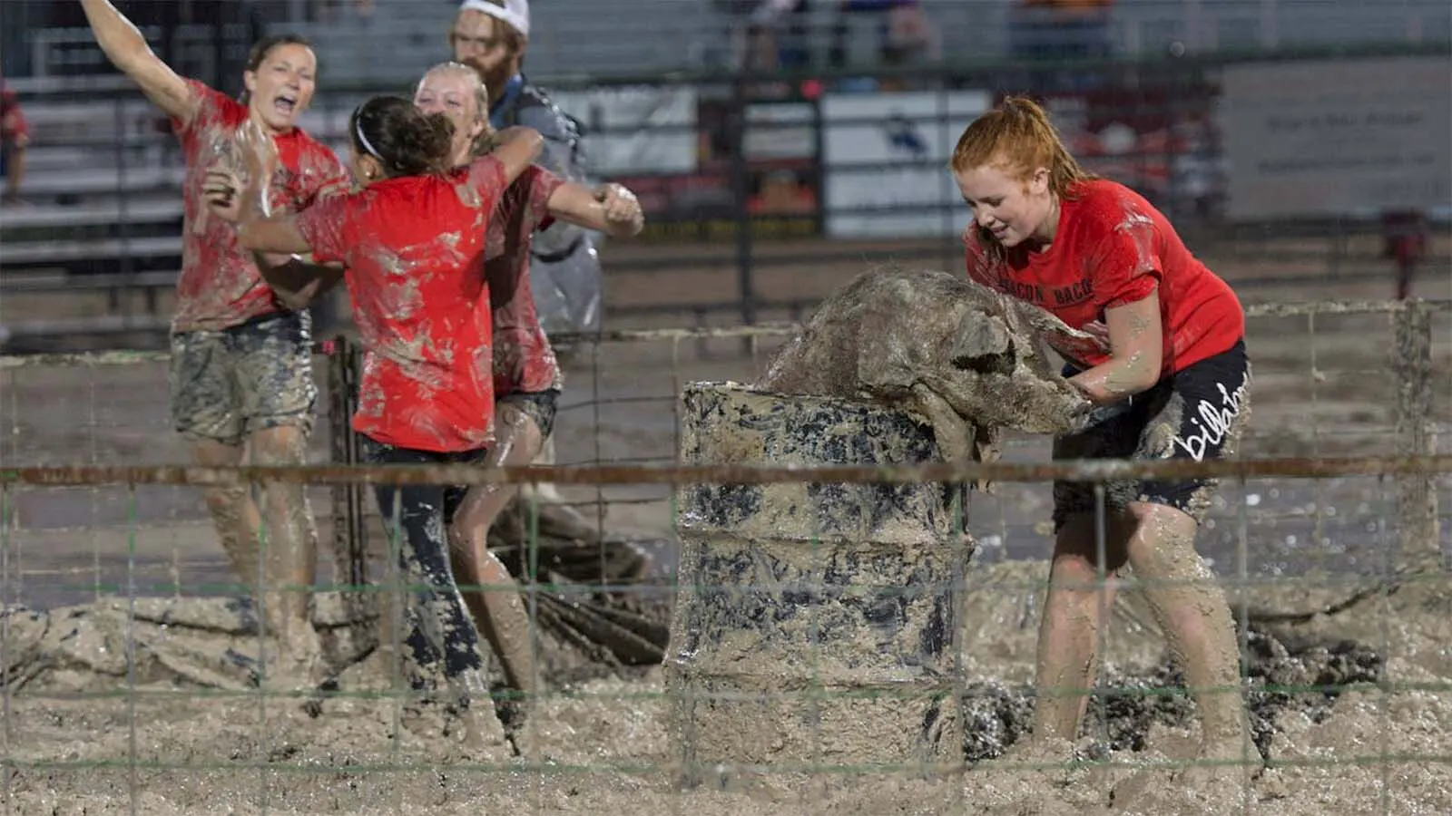 Pig Wrestling Could Be Axed From Teton County Fair Amid Cruelty Claims ...