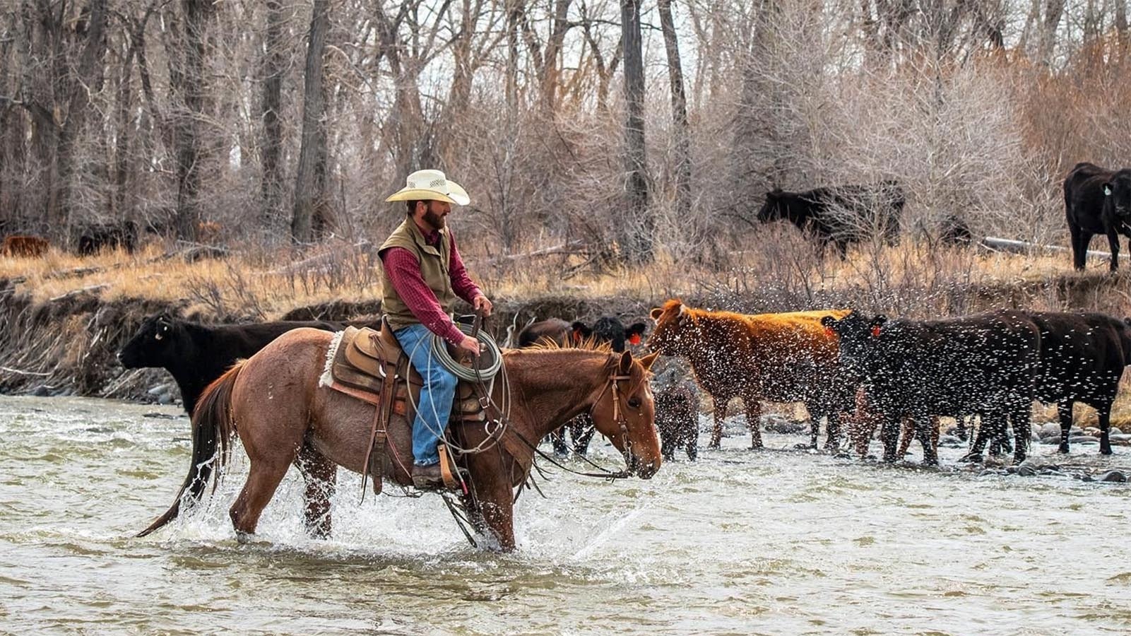 Wyoming's historic Pitchfork Ranch outside Meeteetse is for sale, listing at $67 million.
